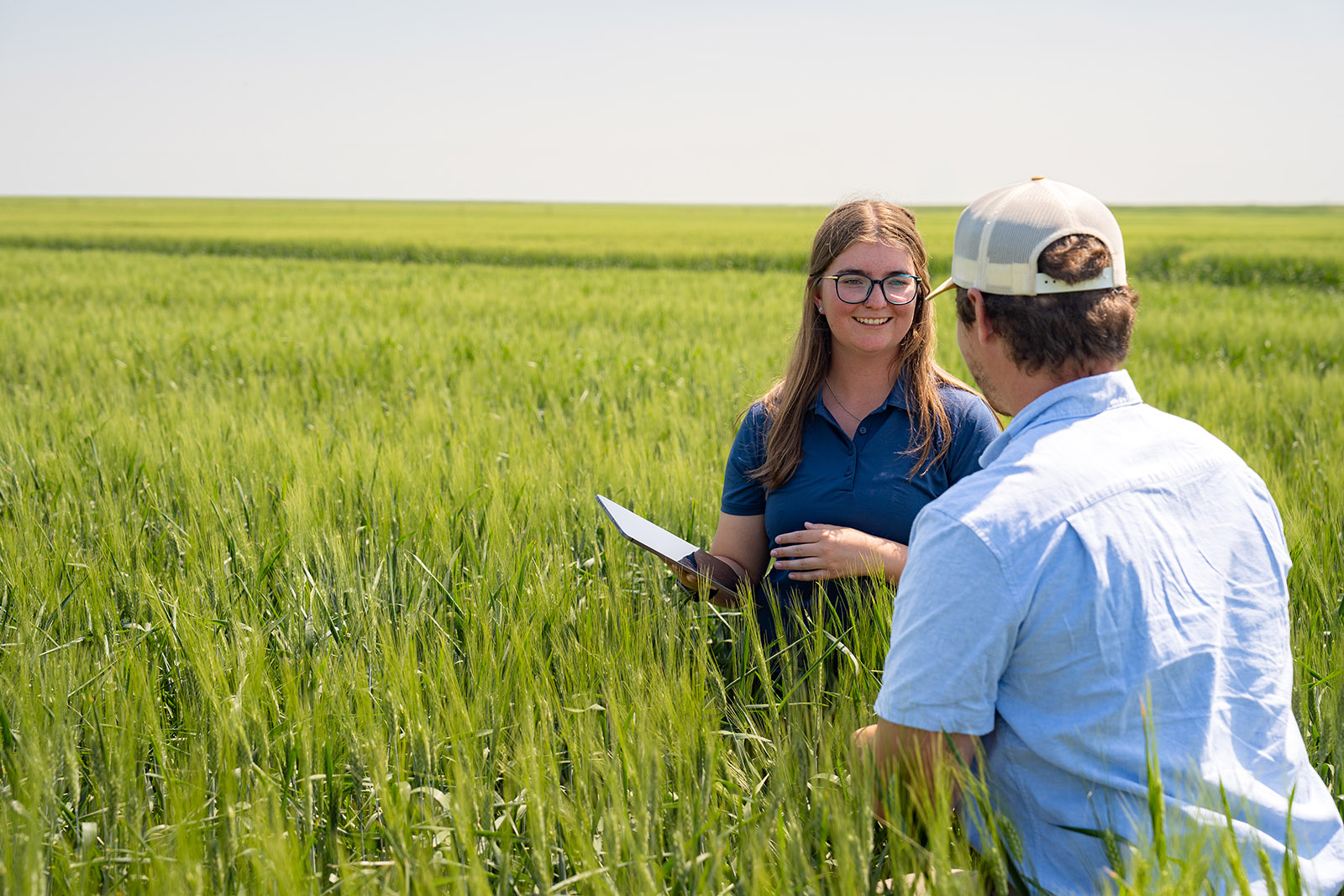 Featured image for “Grain Marketing”