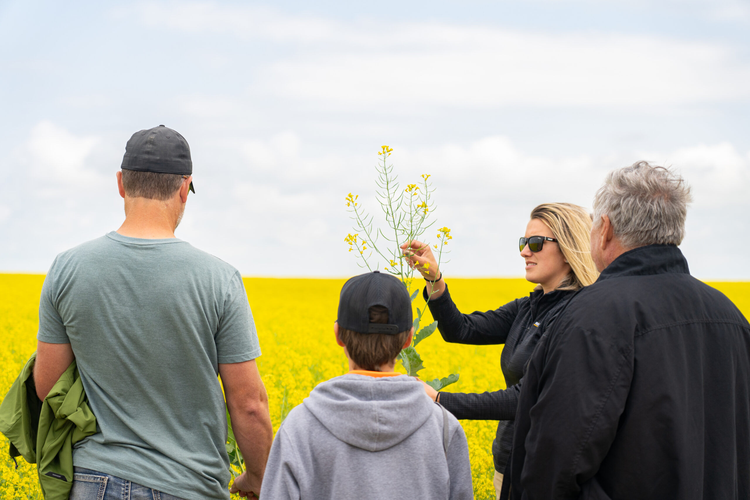 Featured image for “New From Bayer CropScience: Incoming Canola Hybrid Targets Key Solutions”