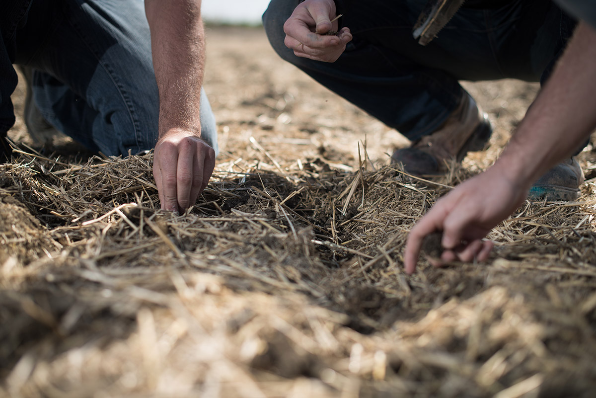 Featured image for “A Successful Season Begins with Healthy Soil”