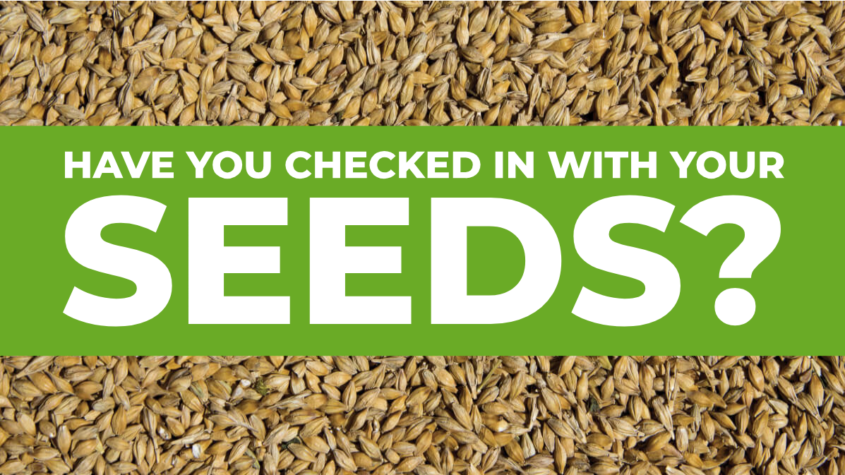 Featured image for “Have you checked in with your seeds?”